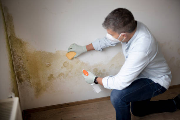 Best Post-Remediation Verification Testing  in Lusk, WY