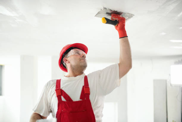  Lusk, WY Mold Removal Pros